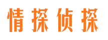 爱民侦探